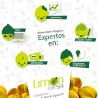 La imagen 10 de la Empresa AGENCIA DE PUBLICIDAD LIMÓN CON SAL Volantes en Santiago RM