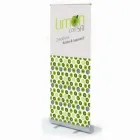 La imagen 13 de la Empresa AGENCIA DE PUBLICIDAD LIMÓN CON SAL Volantes en Santiago RM