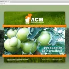 La imagen 3 de la Empresa AGENCIA LUNA LTDA. Volantes en Ñuñoa RM