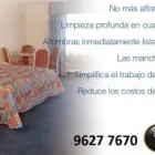 La imagen 6 de la Empresa ALADINO Vapor en Viña del Mar VS