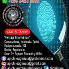La imagen 9 de la Empresa API CHILE GLOBAL INTELLIGENCE Servicios de Consultoria en Santiago RM