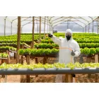 La imagen 2 de la Empresa APOPLAGAS Servicio de control de plagas en Quilicura RM