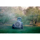 La imagen 4 de la Empresa APOPLAGAS Servicio de control de plagas en Quilicura RM