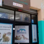 La imagen 1 de la Empresa CENTRO VETERINARIO INDEPENDENCIA Veterinaria Independencia en Valparaíso VS