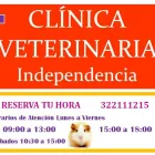 La imagen 3 de la Empresa CENTRO VETERINARIO INDEPENDENCIA Veterinaria Independencia en Valparaíso VS