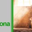 La imagen 4 de la Empresa CENTRO VIDA Centro de rehabilitación en Pirque RM