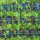 La imagen 1 de la Empresa COMERCIAL CLF Tubería en Santiago RM