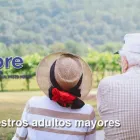 La imagen 4 de la Empresa COMERCIAL DORYSTORE SPA virutillas en Santiago RM
