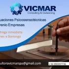 La imagen 2 de la Empresa CONSULTORA VICMAR psicosensotecnico la serena en Coquimbo CO