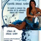 La imagen 2 de la Empresa DANZA ARABE ESCUELA NAYRA Odalisca en Santiago RM