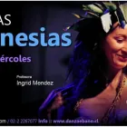 La imagen 1 de la Empresa DANZA EBANO LTDA. Escuelas De Danzas en Ñuñoa RM