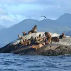 La imagen 1 de la Empresa ECONETWORK E.I.R.L. CONSULTORA AMBIENTAL Xerofíticas en Santiago RM