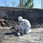 La imagen 3 de la Empresa ECONETWORK E.I.R.L. CONSULTORA AMBIENTAL Xerofíticas en Santiago RM