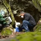 La imagen 4 de la Empresa ECONETWORK E.I.R.L. CONSULTORA AMBIENTAL Xerofíticas en Santiago RM