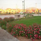 La imagen 6 de la Empresa FLORAGRO LTDA. Sistemas de Riego en La Serena CO