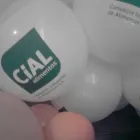 La imagen 1 de la Empresa GLOBOS IMPRESOS CHILE SPA TNT en Santiago RM