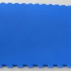 La imagen 3 de la Empresa GYMSALUD Oferta Leg Magic en Santiago RM