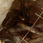 La imagen 5 de la Empresa HOME SERVICE CHILE gasfiter quillota en Viña del Mar VS