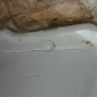 La imagen 72 de la Empresa HOME SERVICE CHILE gasfiter quillota en Viña del Mar VS