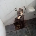 La imagen 74 de la Empresa HOME SERVICE CHILE gasfiter quillota en Viña del Mar VS