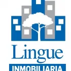 La imagen 6 de la Empresa INMOBILIARIA LINGUE Proyectos Inmobiliarios V Región en Viña del Mar VS