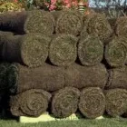 La imagen 1 de la Empresa JARDINES DEL MAR Riegos Tecnificados en Viña del Mar VS