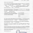 La imagen 5 de la Empresa JUZGADO DE FAMILIA - VIÑA DEL MAR Sistema Judicial en Viña del Mar VS