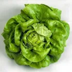 La imagen 4 de la Empresa LA HUERTA DEL PEZ Verduras Frescas en Quillota VS