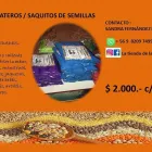 La imagen 3 de la Empresa LA TIENDA DE LA NINA Organizador de eventos en La Florida RM