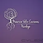 La imagen 3 de la Empresa MAURICIO VÉLIZ Psicologo en Rancagua AI