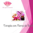 La imagen 2 de la Empresa MI ESPACIO ARMONÍA Terapia con Flores de Bach en Viña del Mar VS