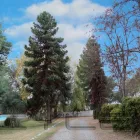 La imagen 8 de la Empresa MOTEL LAS ARAUCARIAS Motel en Rancagua AI