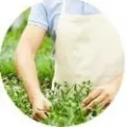 La imagen 1 de la Empresa NATIVA VIVERO Viveros en Nogales VS