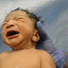 La imagen 3 de la Empresa PEDIATRA SERGIO SANTIBÁÑEZ Pediatra en Viña del Mar VS