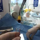 La imagen 2 de la Empresa PLASMA SALUD Plasma Rico en Plaquetas en Santiago RM