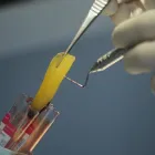 La imagen 3 de la Empresa PLASMA SALUD Plasma Rico en Plaquetas en Santiago RM