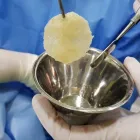 La imagen 5 de la Empresa PLASMA SALUD Plasma Rico en Plaquetas en Santiago RM