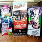 La imagen 1 de la Empresa PUBLIARTE Senaletica en Rancagua AI