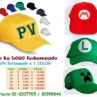 La imagen 7 de la Empresa PUBLIVIDA Volantes en Santiago RM