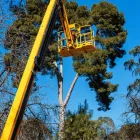 La imagen 4 de la Empresa RESCATE Y SERVICIO AUTOMOTRIZ CRUZ Servicio de grúa en Buin RM