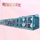 La imagen 3 de la Empresa ROSELEE SANITARY NAPKIN MANUFACTURING COMPAN Maquinarias en Santiago RM