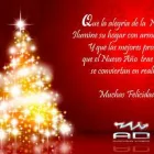 La imagen 3 de la Empresa TARJETAS DE NAVIDAD CHILE ANIMADAS Video Saludo Navidad en Chile en Santiago RM