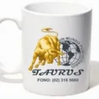 La imagen 9 de la Empresa TAURUS COMERCIAL Viseras en Santiago RM