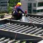 La imagen 2 de la Empresa TODOPLAGAS Sanitizacion en Santiago RM