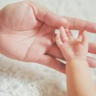 La imagen 48 de la Empresa WOLFENSON ABOGADOS - ESTUDIO JURÍDICO CHILE Estudios Juridicos en Las Condes RM