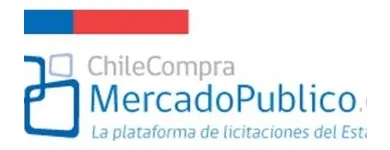 La imagen 2 de la Empresa ALADINO Vapor en Viña del Mar VS