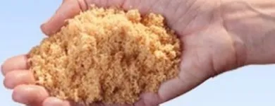 La imagen 9 de la Empresa ALADINO Vapor en Viña del Mar VS