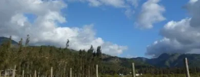 La imagen 6 de la Empresa ALTO PONIENTE PROPIEDADES Venta de Propiedades en Limache VS