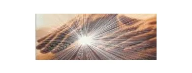 La imagen 1 de la Empresa AQQUATERAPIAS Y ESTÉTICA INTEGRAL Terapias Alternativas en Las Condes RM