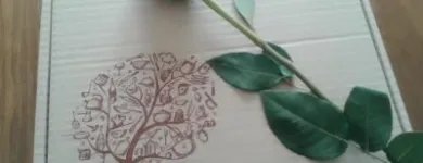 La imagen 1 de la Empresa CASTAÑA & MIEL Regalos en Talca ML